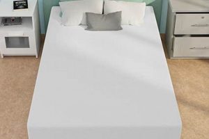Best 12 Inch Twin Mattress: Guide & Reviews | Organic & Natural Mattress Buyer’s Guide: Non-Toxic Sleep Solutions
