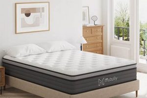 Best 12 Inch Memory Foam Mattress Queen For You | Organic & Natural Mattress Buyer’s Guide: Non-Toxic Sleep Solutions