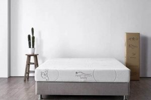 Buy the Best 8 Inch Serenity Memory Foam Mattress Today! | Organic & Natural Mattress Buyer’s Guide: Non-Toxic Sleep Solutions