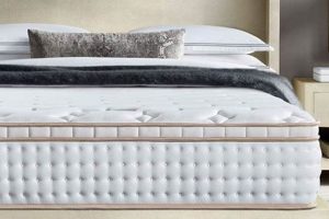 Best 12 Inch Full Size Mattress: Your Comfy Sleep Starts Here! | Organic & Natural Mattress Buyer’s Guide: Non-Toxic Sleep Solutions