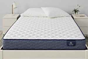 Best 5 Inch Mattress Twin [For Bunks & Guests] | Organic & Natural Mattress Buyer’s Guide: Non-Toxic Sleep Solutions
