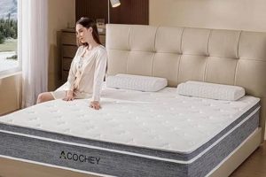Best 12 Inch Full Mattress For [Year]: Comfort & Support! | Organic & Natural Mattress Buyer’s Guide: Non-Toxic Sleep Solutions