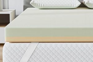 Best 4 Inch Twin Mattress [Guide] Review & Tips | Organic & Natural Mattress Buyer’s Guide: Non-Toxic Sleep Solutions