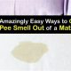 Quickly Get Rid of Urine Smell From Mattress: The Pro Guide | Organic & Natural Mattress Buyer’s Guide: Non-Toxic Sleep Solutions