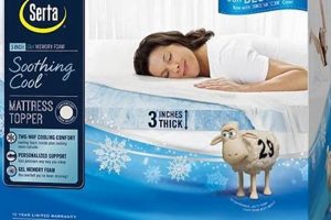 Best Serta 3 Inch Mattress Topper: Sleep Better Now! Organic & Natural Mattress Buyer’s Guide: Non-Toxic Sleep Solutions Best Serta 3 Inch Mattress Topper: Sleep Better Now! | Organic & Natural Mattress Buyer’s Guide: Non-Toxic Sleep Solutions