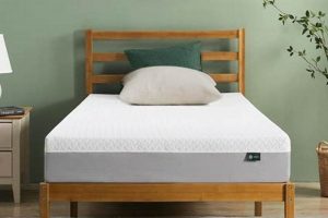Best 8 Inch Zinus Mattress? Review & Guide! | Organic & Natural Mattress Buyer’s Guide: Non-Toxic Sleep Solutions