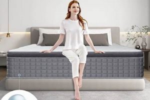 Best 14 Inch Queen Mattress [Guide] Sleep Soundly! | Organic & Natural Mattress Buyer’s Guide: Non-Toxic Sleep Solutions