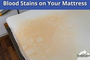 Easy Get Blood Stain Off Mattress: Pro Cleaning Tips Organic & Natural Mattress Buyer’s Guide: Non-Toxic Sleep Solutions Easy Get Blood Stain Off Mattress: Pro Cleaning Tips | Organic & Natural Mattress Buyer’s Guide: Non-Toxic Sleep Solutions
