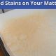 Easy Get Blood Stain Off Mattress: Pro Cleaning Tips | Organic & Natural Mattress Buyer’s Guide: Non-Toxic Sleep Solutions