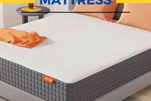 Top-Rated Best 8 Inch Mattress: Comfort & Support! | Organic & Natural Mattress Buyer’s Guide: Non-Toxic Sleep Solutions