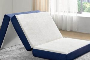 Best Value! 6 Inch Folding Mattress: Portable Comfort | Organic & Natural Mattress Buyer’s Guide: Non-Toxic Sleep Solutions