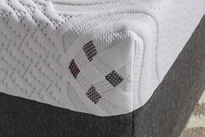 Beautyrest Loft 10 Inch Firm Mattress: Best Firm Sleep! | Organic & Natural Mattress Buyer’s Guide: Non-Toxic Sleep Solutions