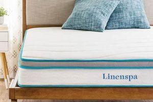 Best 8-Inch Mattress [Guide] - Comfort & Support! | Organic & Natural Mattress Buyer’s Guide: Non-Toxic Sleep Solutions