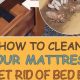 Mattress Disposal: The Best Way to Get Rid of a Mattress Guide | Organic & Natural Mattress Buyer’s Guide: Non-Toxic Sleep Solutions