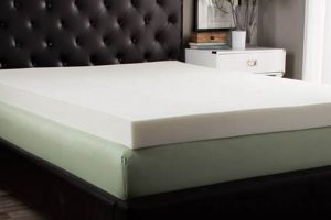 Best 5 Inch Memory Foam Mattress [Value Choice] | Organic & Natural Mattress Buyer’s Guide: Non-Toxic Sleep Solutions