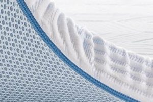 Best 2-Inch Queen Memory Foam Mattress Topper: Comfort Boost! Organic & Natural Mattress Buyer’s Guide: Non-Toxic Sleep Solutions Best 2-Inch Queen Memory Foam Mattress Topper: Comfort Boost! | Organic & Natural Mattress Buyer’s Guide: Non-Toxic Sleep Solutions