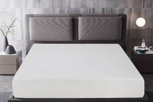 Budget-Friendly 6 Inch Full Mattress: Best Value! Organic & Natural Mattress Buyer’s Guide: Non-Toxic Sleep Solutions Budget-Friendly 6 Inch Full Mattress: Best Value! | Organic & Natural Mattress Buyer’s Guide: Non-Toxic Sleep Solutions