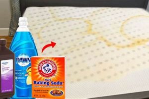 How to Get Urine Out of Mattress: The Easy Way + Tips! Organic & Natural Mattress Buyer’s Guide: Non-Toxic Sleep Solutions How to Get Urine Out of Mattress: The Easy Way + Tips! | Organic & Natural Mattress Buyer’s Guide: Non-Toxic Sleep Solutions