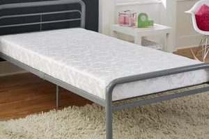 Best 5 Inch Twin Mattress for Bunk Beds | Comfort & Safety | Organic & Natural Mattress Buyer’s Guide: Non-Toxic Sleep Solutions