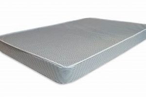 Best 6 Inch Trundle Mattress: Space & Comfort! Organic & Natural Mattress Buyer’s Guide: Non-Toxic Sleep Solutions Best 6 Inch Trundle Mattress: Space & Comfort! | Organic & Natural Mattress Buyer’s Guide: Non-Toxic Sleep Solutions