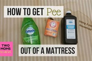 How to Get Urine Out of Mattress: Quick & Easy! Organic & Natural Mattress Buyer’s Guide: Non-Toxic Sleep Solutions How to Get Urine Out of Mattress: Quick & Easy! | Organic & Natural Mattress Buyer’s Guide: Non-Toxic Sleep Solutions