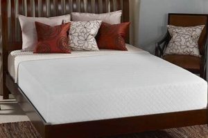 Best 10 Inch Foam Mattress: Comfort & Value Guide | Organic & Natural Mattress Buyer’s Guide: Non-Toxic Sleep Solutions