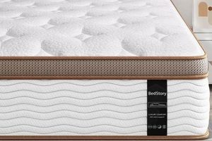Best King Hybrid Mattress 14 Inch? Find Yours! | Organic & Natural Mattress Buyer’s Guide: Non-Toxic Sleep Solutions