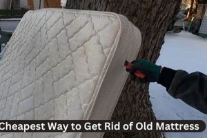 Easy & Cheap: Cheapest Way to Get Rid of Old Mattress Now! Organic & Natural Mattress Buyer’s Guide: Non-Toxic Sleep Solutions Easy & Cheap: Cheapest Way to Get Rid of Old Mattress Now! | Organic & Natural Mattress Buyer’s Guide: Non-Toxic Sleep Solutions