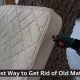 Easy & Cheap: Cheapest Way to Get Rid of Old Mattress Now! | Organic & Natural Mattress Buyer’s Guide: Non-Toxic Sleep Solutions