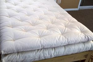 Best 6 Inch Mattress Topper Queen: Comfort Awaits! | Organic & Natural Mattress Buyer’s Guide: Non-Toxic Sleep Solutions
