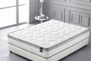 Best 10 Inch Mattress: Comfort & Value You'll Love | Organic & Natural Mattress Buyer’s Guide: Non-Toxic Sleep Solutions