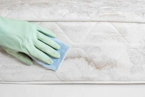 Guide: How to Get Mold OFF Your Mattress + Prevent! Organic & Natural Mattress Buyer’s Guide: Non-Toxic Sleep Solutions Guide: How to Get Mold OFF Your Mattress + Prevent! | Organic & Natural Mattress Buyer’s Guide: Non-Toxic Sleep Solutions