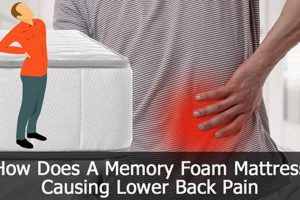 Memory Foam: Back Problem Solutions & Prevention Organic & Natural Mattress Buyer’s Guide: Non-Toxic Sleep Solutions Memory Foam: Back Problem Solutions & Prevention | Organic & Natural Mattress Buyer’s Guide: Non-Toxic Sleep Solutions
