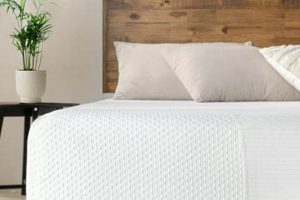 Serenity Sleep: 8" Memory Foam Mattress Comfort Organic & Natural Mattress Buyer’s Guide: Non-Toxic Sleep Solutions Serenity Sleep: 8" Memory Foam Mattress Comfort | Organic & Natural Mattress Buyer’s Guide: Non-Toxic Sleep Solutions