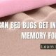 Memory Foam Mattress Bed Bugs: Prevention & Eradication Tips | Organic & Natural Mattress Buyer’s Guide: Non-Toxic Sleep Solutions