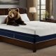 Ultimate Alaskan King Memory Foam Mattress: Size & Comfort | Organic & Natural Mattress Buyer’s Guide: Non-Toxic Sleep Solutions