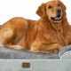 Best Memory Foam Mattress Dog Beds: Comfort & Support | Organic & Natural Mattress Buyer’s Guide: Non-Toxic Sleep Solutions