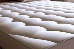 Best Plush Memory Foam Mattress: Comfort & Support Organic & Natural Mattress Buyer’s Guide: Non-Toxic Sleep Solutions Best Plush Memory Foam Mattress: Comfort & Support | Organic & Natural Mattress Buyer’s Guide: Non-Toxic Sleep Solutions