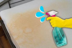 Easy Ways: How to Get Wee Stain Out of Mattress + Tips! Organic & Natural Mattress Buyer’s Guide: Non-Toxic Sleep Solutions Easy Ways: How to Get Wee Stain Out of Mattress + Tips! | Organic & Natural Mattress Buyer’s Guide: Non-Toxic Sleep Solutions