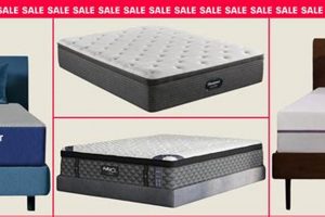Dreamy Sleep: Best Memorial Day Mattress Deals 2024! Organic & Natural Mattress Buyer’s Guide: Non-Toxic Sleep Solutions Dreamy Sleep: Best Memorial Day Mattress Deals 2024! | Organic & Natural Mattress Buyer’s Guide: Non-Toxic Sleep Solutions