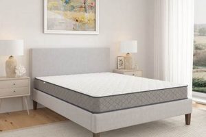 Memory Foam: Sleepy's Basic Firm Mattress Support! Organic & Natural Mattress Buyer’s Guide: Non-Toxic Sleep Solutions Memory Foam: Sleepy's Basic Firm Mattress Support! | Organic & Natural Mattress Buyer’s Guide: Non-Toxic Sleep Solutions