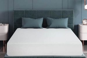 Top-Rated: Best Economical Memory Foam Mattress Buys Today Organic & Natural Mattress Buyer’s Guide: Non-Toxic Sleep Solutions Top-Rated: Best Economical Memory Foam Mattress Buys Today | Organic & Natural Mattress Buyer’s Guide: Non-Toxic Sleep Solutions