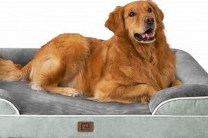 Best Memory Foam Dog Mattress [Guide & Reviews] | Organic & Natural Mattress Buyer’s Guide: Non-Toxic Sleep Solutions