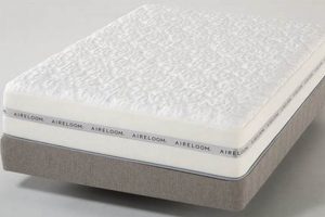 Best Extra Firm Memory Foam Mattress: Buyer's Guide & Reviews Organic & Natural Mattress Buyer’s Guide: Non-Toxic Sleep Solutions Best Extra Firm Memory Foam Mattress: Buyer's Guide & Reviews | Organic & Natural Mattress Buyer’s Guide: Non-Toxic Sleep Solutions