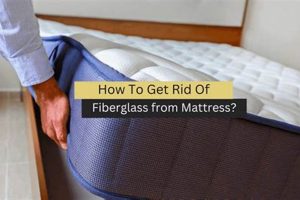 Easy Get Rid Mattress Guide: Disposal & More Organic & Natural Mattress Buyer’s Guide: Non-Toxic Sleep Solutions Easy Get Rid Mattress Guide: Disposal & More | Organic & Natural Mattress Buyer’s Guide: Non-Toxic Sleep Solutions