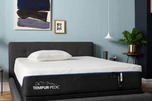 Discover Tempur Memory Foam Mattress: Comfort Redefined Organic & Natural Mattress Buyer’s Guide: Non-Toxic Sleep Solutions Discover Tempur Memory Foam Mattress: Comfort Redefined | Organic & Natural Mattress Buyer’s Guide: Non-Toxic Sleep Solutions