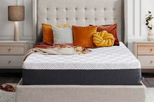 Best Sealy Cool 12 Medium Mattress: Memory Foam Comfort! Organic & Natural Mattress Buyer’s Guide: Non-Toxic Sleep Solutions Best Sealy Cool 12 Medium Mattress: Memory Foam Comfort! | Organic & Natural Mattress Buyer’s Guide: Non-Toxic Sleep Solutions