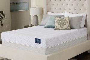 Best Plush Memory Foam Mattress Queen for Restful Sleep Organic & Natural Mattress Buyer’s Guide: Non-Toxic Sleep Solutions Best Plush Memory Foam Mattress Queen for Restful Sleep | Organic & Natural Mattress Buyer’s Guide: Non-Toxic Sleep Solutions