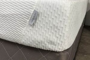 Best Tuft & Needle Memory Foam: Is It Right For *You*? | Organic & Natural Mattress Buyer’s Guide: Non-Toxic Sleep Solutions
