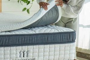 Memory Matters: Is Memory Foam Good for Back Pain Relief? | Organic & Natural Mattress Buyer’s Guide: Non-Toxic Sleep Solutions